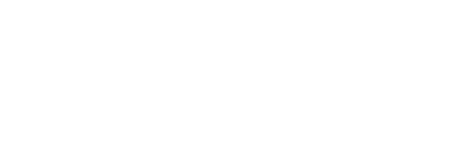 pasha-logo-copy.png