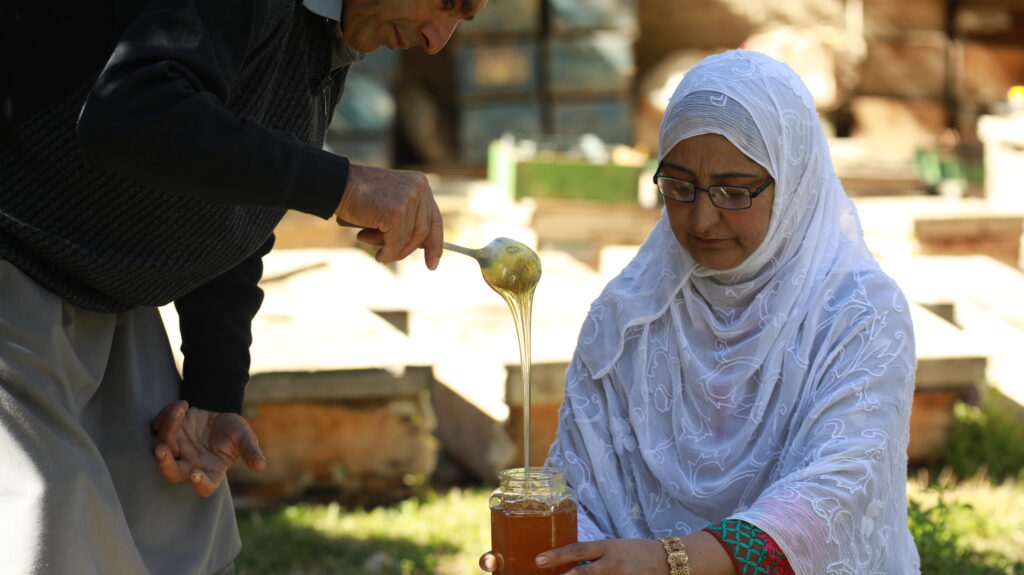 business opportunities in Pakistan