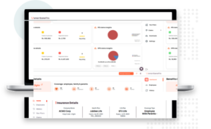 small business in Pakistan